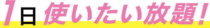 1日使いたい放題！