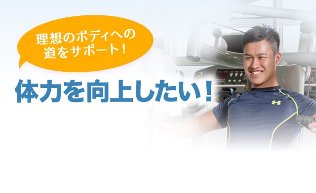 体力を向上したい方必見!理想のボディへの道をサポート