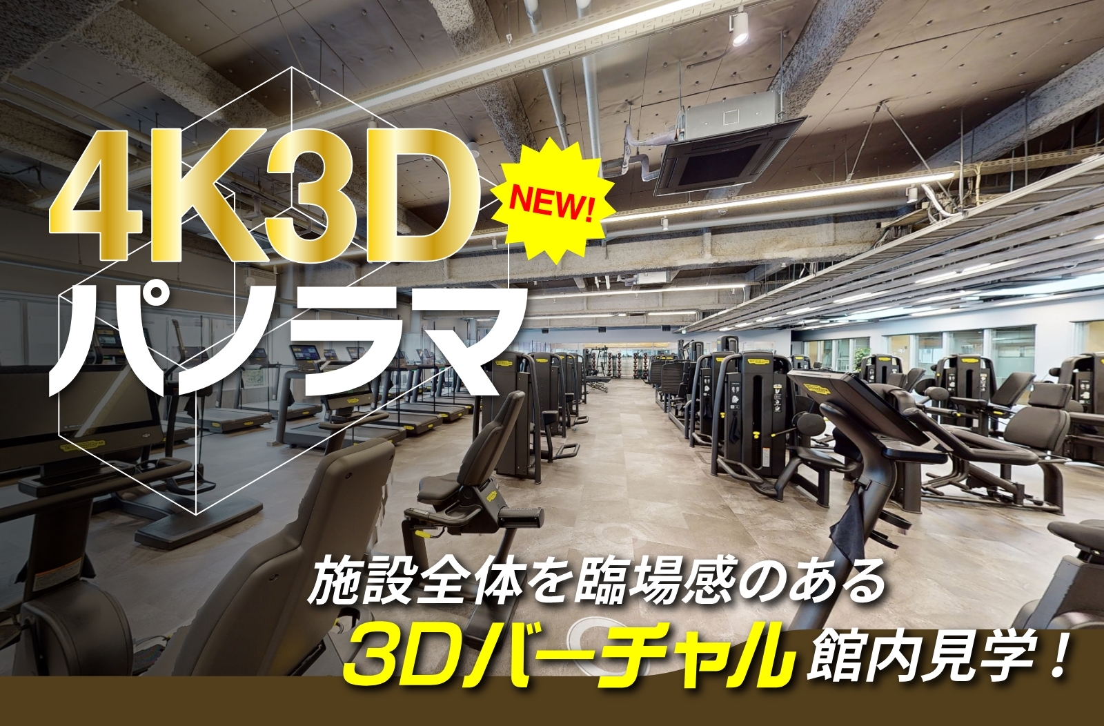 3Dバーチャル館内見学