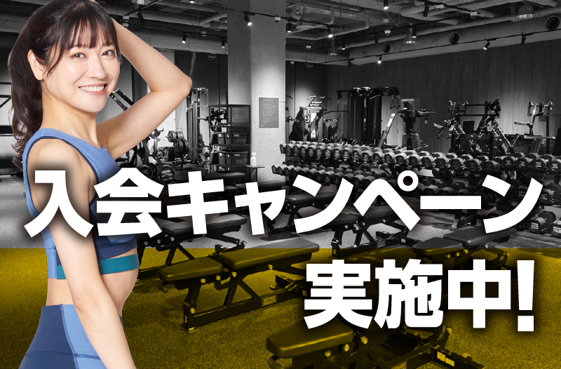 スタート応援キャンペーン実施中！
